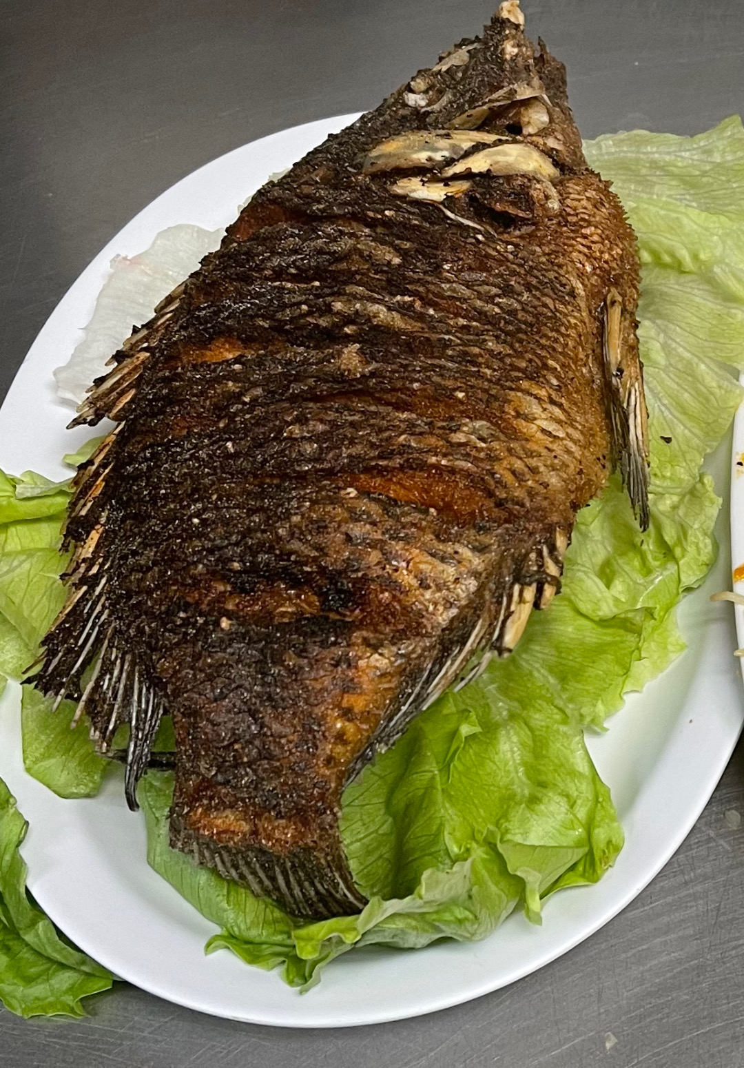 Tilapia Fish